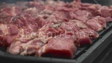 生猪肉牛肉是在烧烤架上煮熟的。 慢动作的带香料和香料的腌肉。 传统